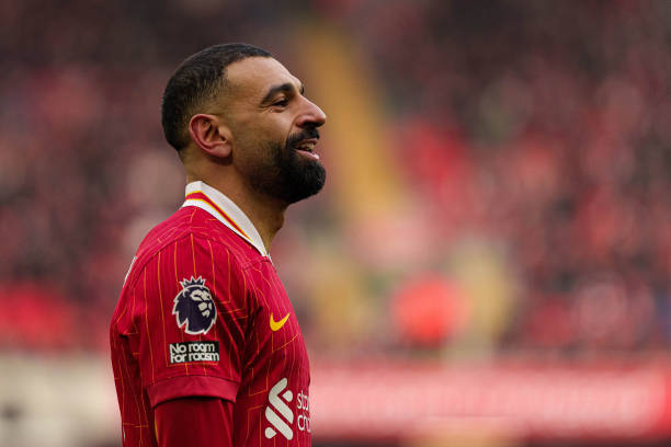 法乔利的态 法乔利的态